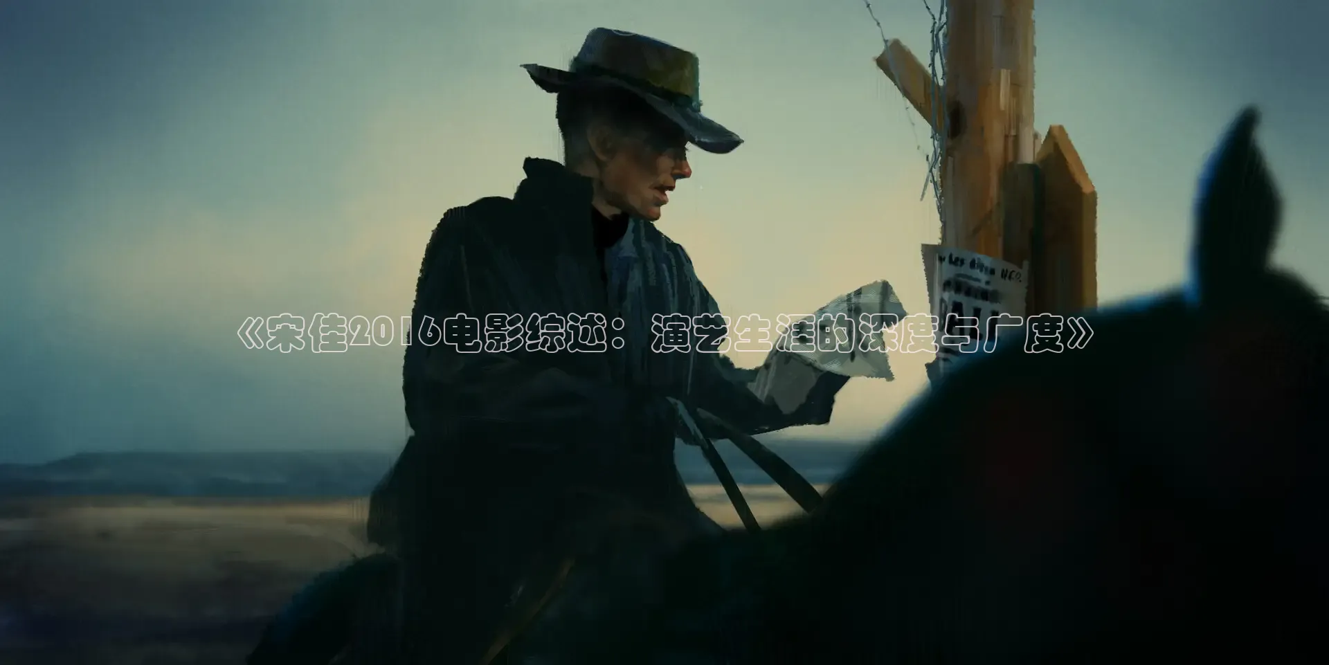 《宋佳2016电影综述：演艺生涯的深度与广度》