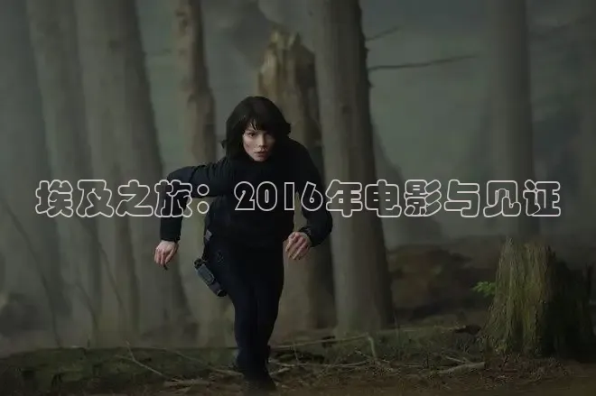 埃及之旅：2016年电影与见证